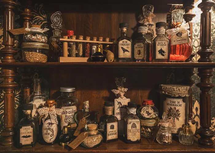 Maison Immersive Cinema & Harry Potter 6 Pers Mery-Sur-Marne